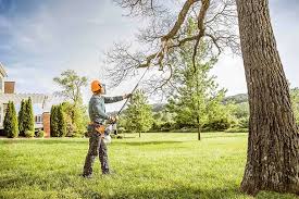 Best Lot and Land Clearing  in Rifle, CO